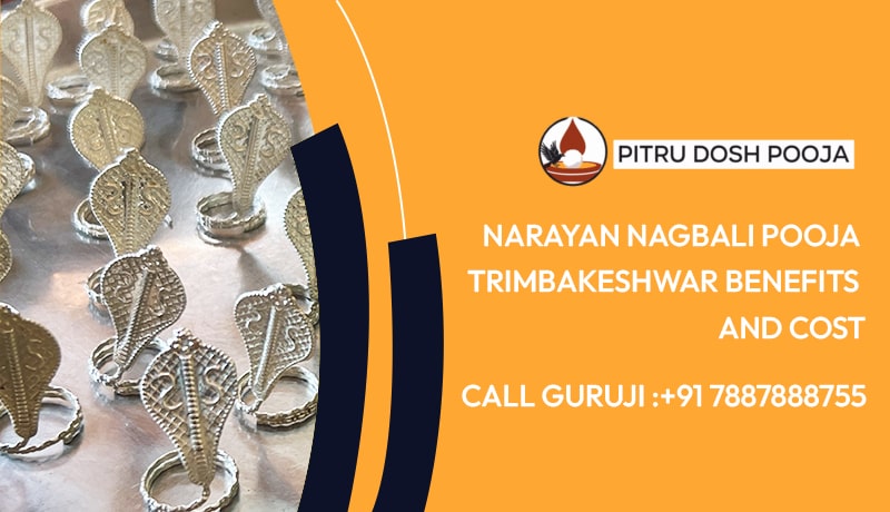 Narayan Nagbali Pooja Trimbakeshwar Benefits And Cost