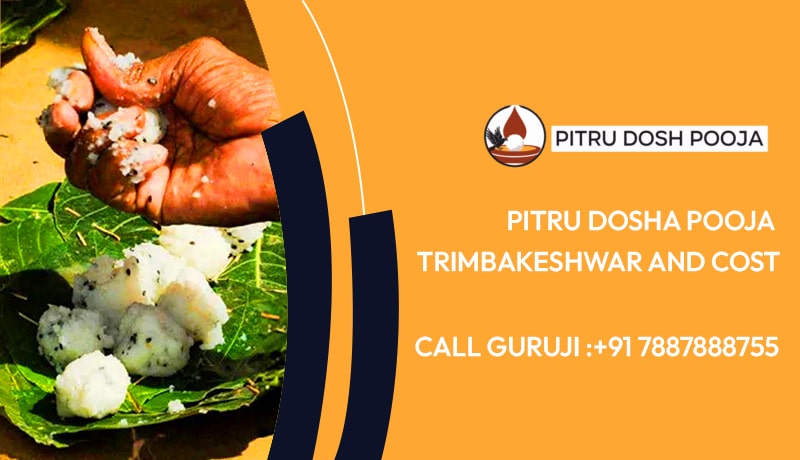 Pitru Dosha Pooja Trimbakeshwar And Cost