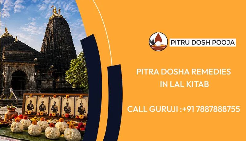 Pitra Dosha Remedies In Lal Kitab