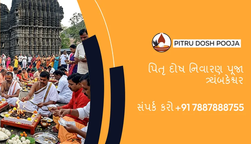 પિતૃ દોષ નિવારણ પૂજા ત્ર્યંબકેશ્વર